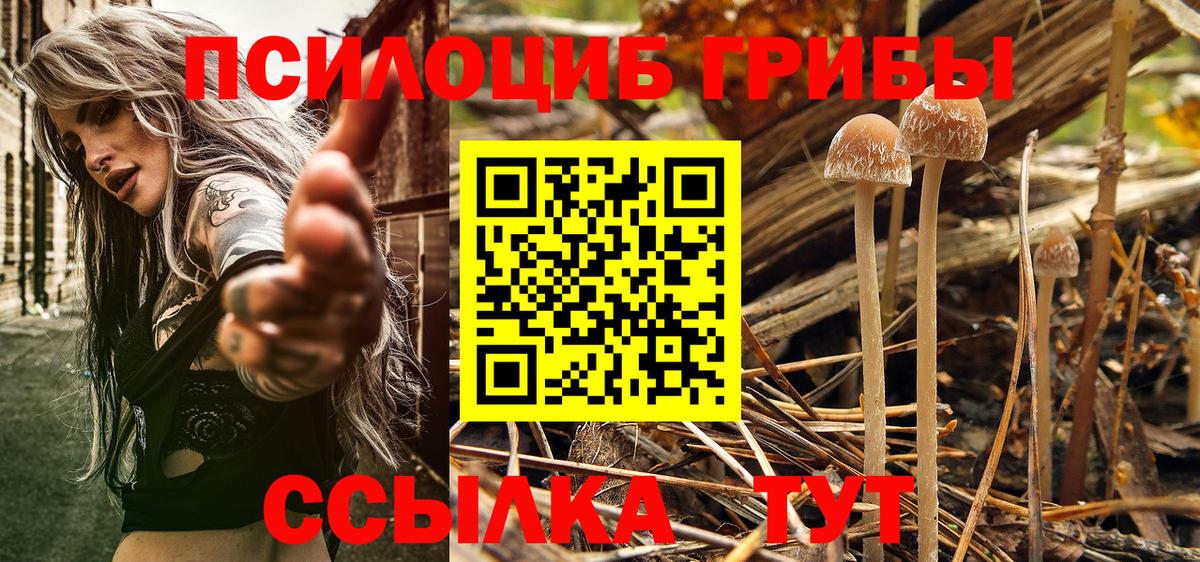 Псилоцибиновые грибы GOLDEN TEACHER Щёлково